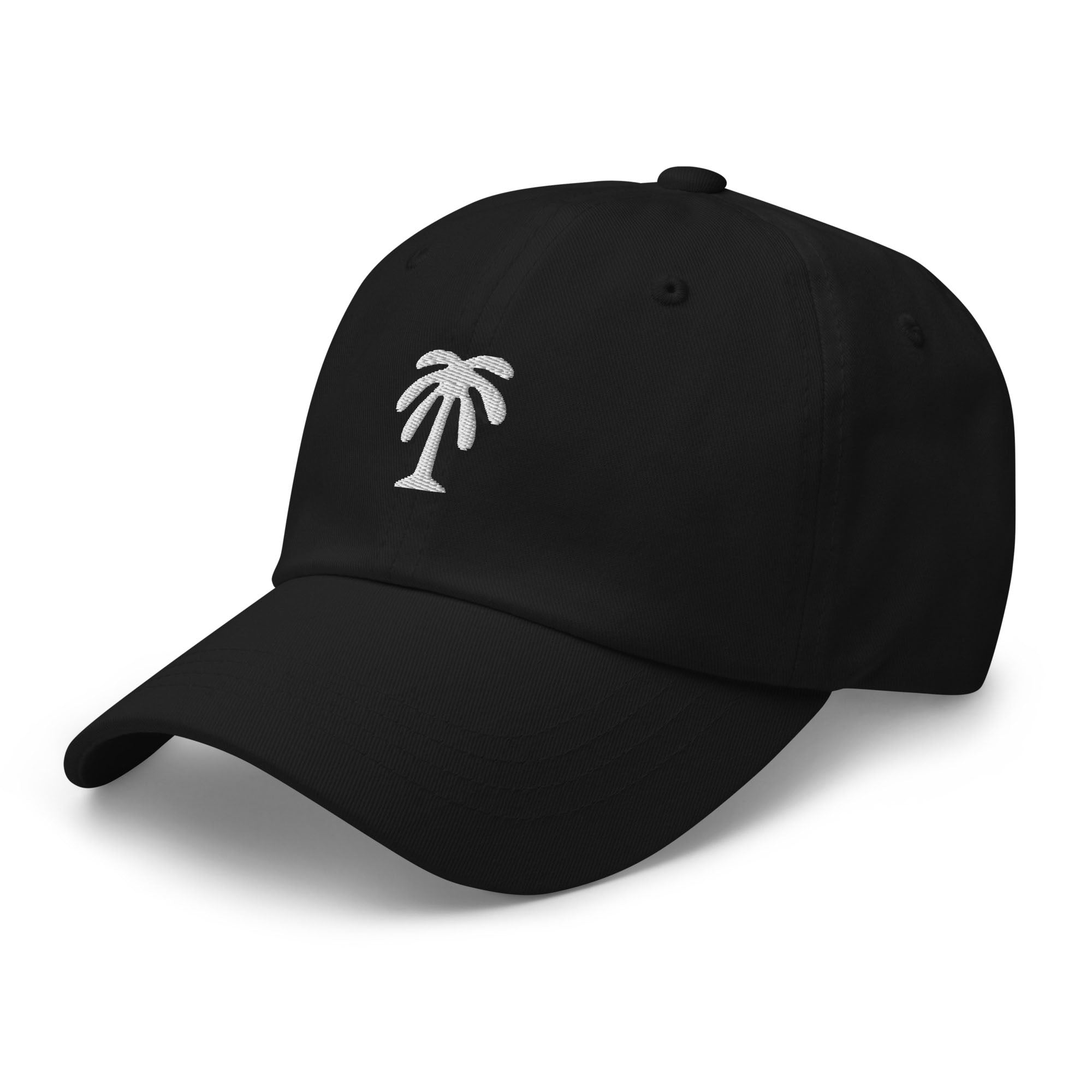 The James Dad Hat