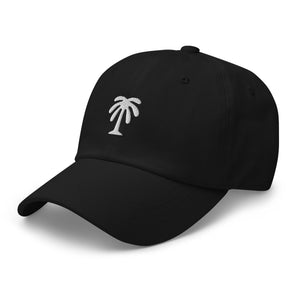 The James Dad Hat